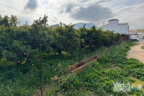 Helårsgrund i Els Poblets, Alicante, Els Poblets - € 299.000 | Ref: P-603 - foto 11